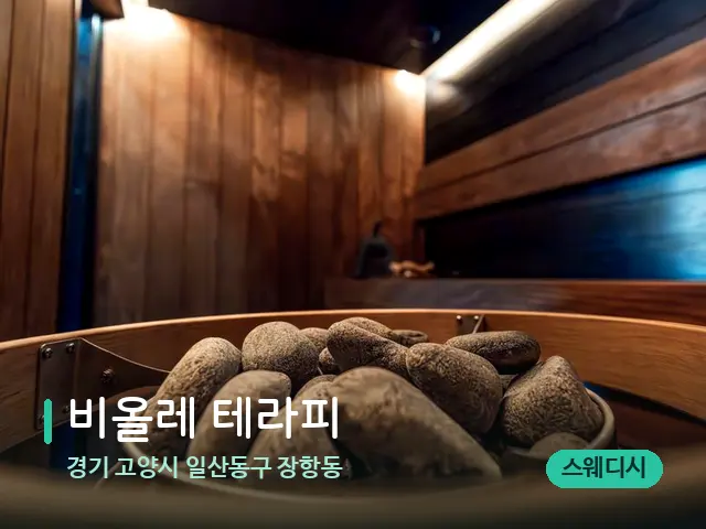 경기 고양시 일산동구 장항동 비올레 테라피 — 웰니스 스파 공간