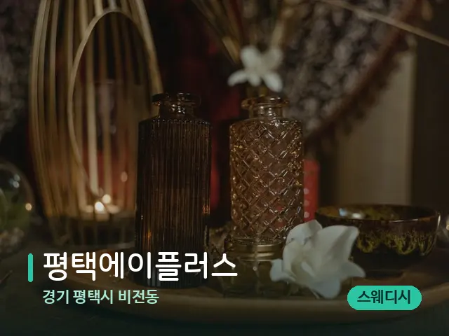 경기 평택시 비전동 평택에이플러스 — 스파 마사지 베드