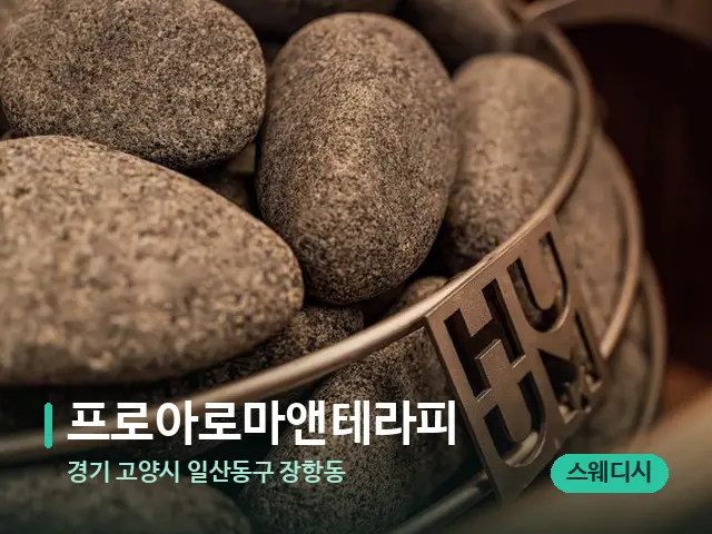 경기 고양시 일산동구 장항동 프로아로마앤테라피 — 웰니스 스파 공간