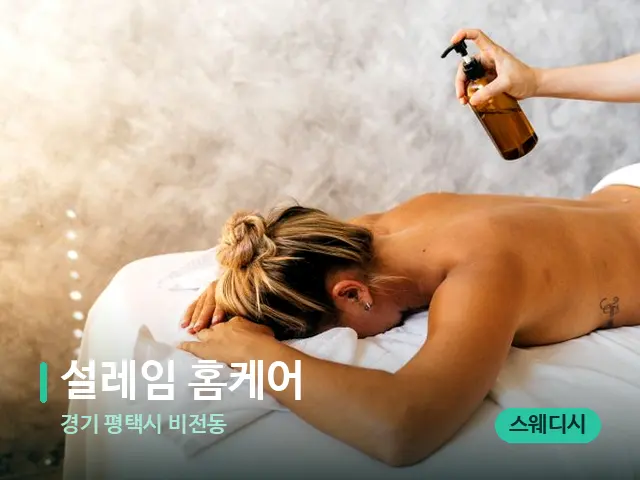 경기 평택시 비전동 설레임 홈케어 — 스파 마사지 베드