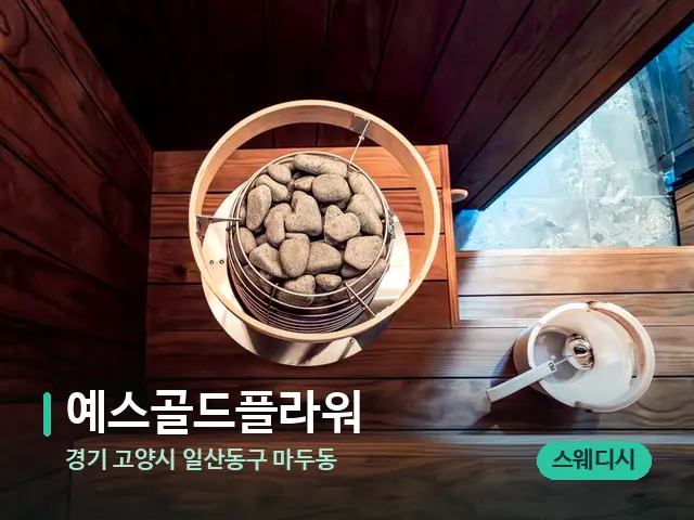 경기 고양시 일산동구 마두동 예스골드플라워 — 웰니스 스파 공간