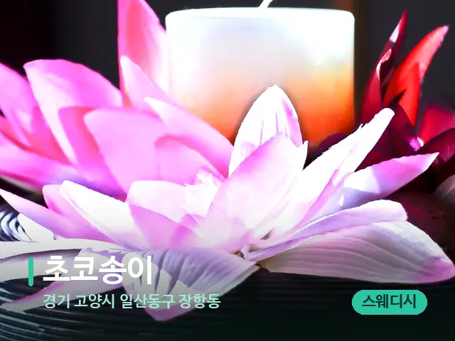경기 고양시 일산동구 장항동 초코송이 — 아로마 오일을 쓰는 관리 장면