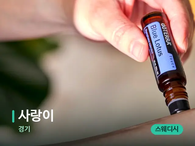 경기 사랑이 — 아로마 오일을 쓰는 관리 장면