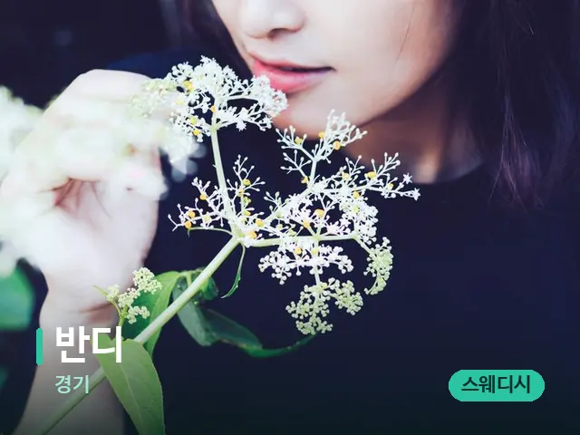 경기 반디 — 아로마 오일을 쓰는 관리 장면