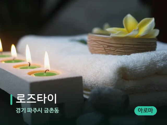 경기 파주시 금촌동 로즈타이 — 웰니스 스파 공간