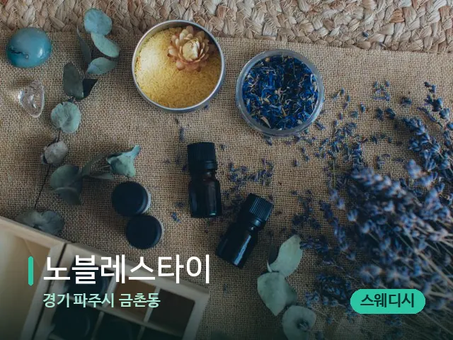 경기 파주시 금촌동 노블레스타이 — 웰니스 스파 공간