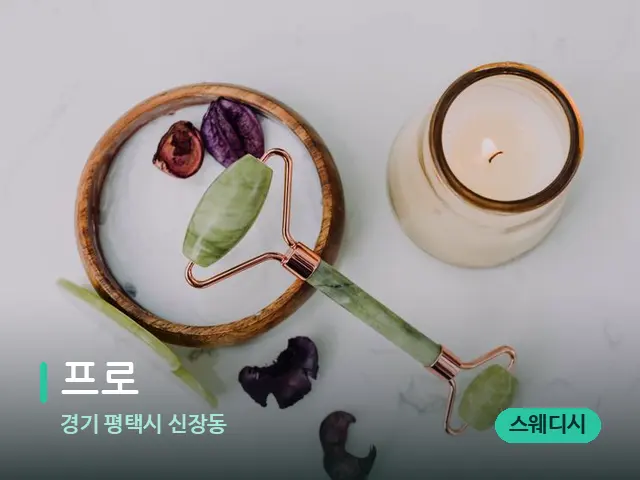 경기 평택시 신장동 프로 — 스파 마사지 베드