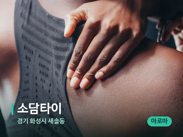 경기 화성시 새솔동 소담타이 — 어깨·목 관리 장면
