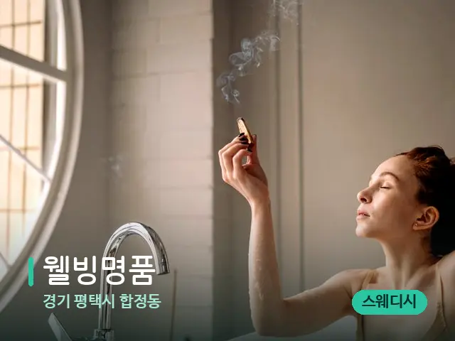 경기 평택시 합정동 웰빙명품 — 스파 마사지 베드
