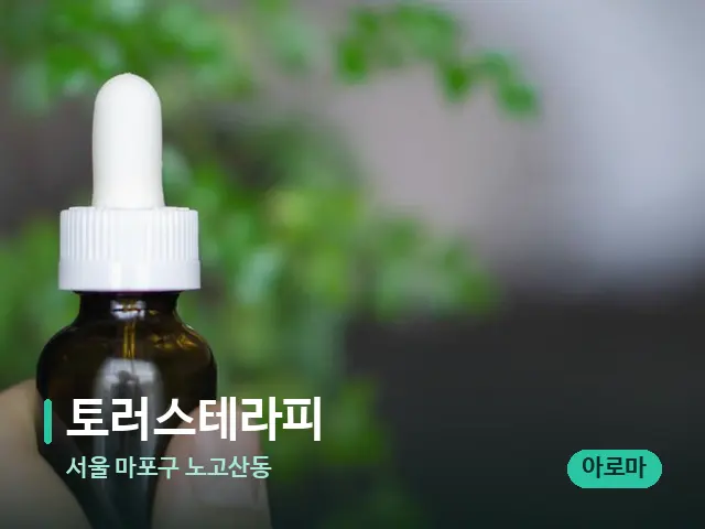 서울 마포구 노고산동 토러스테라피 — 데이 스파 인테리어