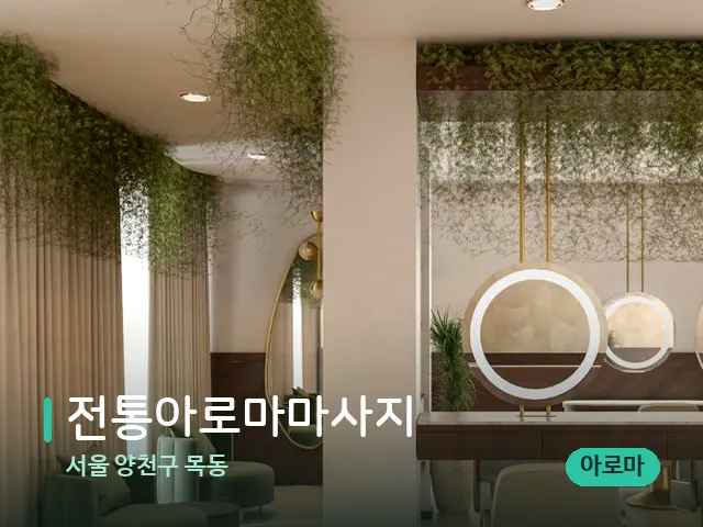서울 양천구 목동 전통아로마마사지 — 스파 관리실 내부