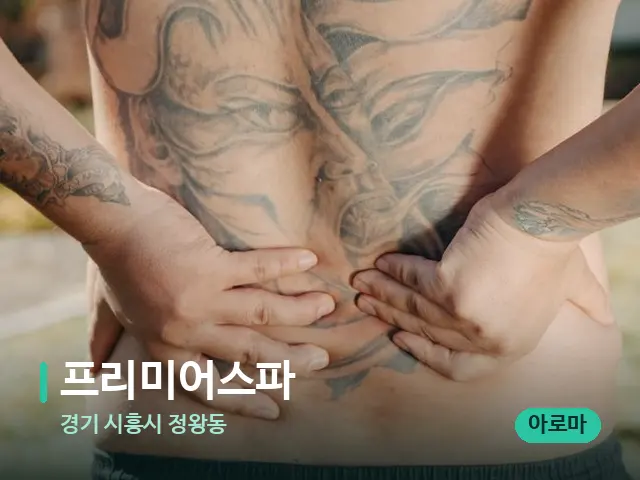 경기 시흥시 정왕동 프리미어스파 — 아로마 오일을 쓰는 관리 장면