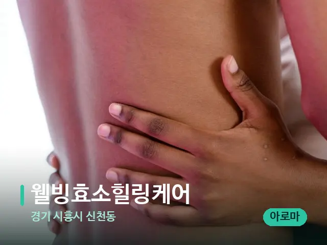 경기 시흥시 신천동 웰빙효소힐링케어 — 등·허리 관리 장면