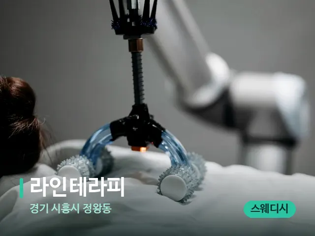 경기 시흥시 정왕동 라인테라피 — 등·허리 관리 장면