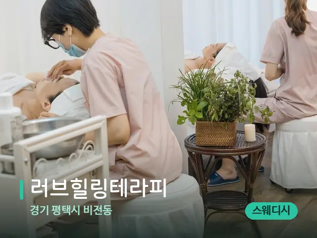 경기 평택시 비전동 러브힐링테라피 — 스파 마사지 베드
