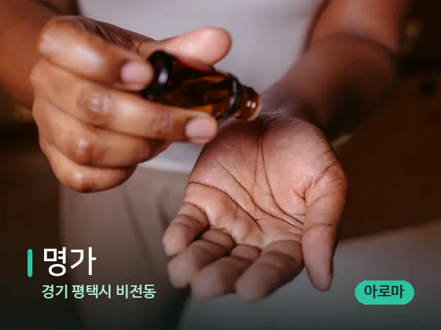 경기 평택시 비전동 명가 — 스파 마사지 베드