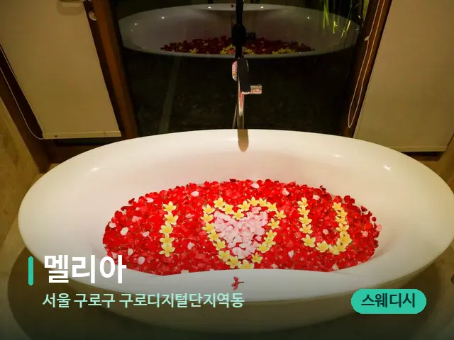 서울 구로구 구로디지털단지역동 멜리아 — 데이 스파 인테리어