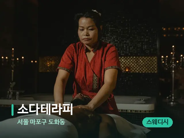 서울 마포구 도화동 소다테라피 — 스파 마사지 베드