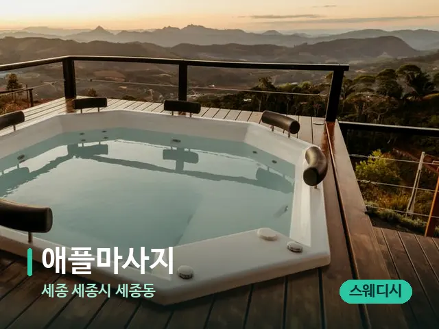 세종 세종시 세종동 애플마사지 — 웰니스 스파 공간