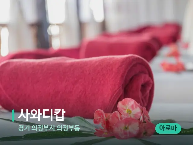 경기 의정부시 의정부동 사와디캅 — 스파 마사지 베드