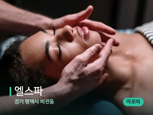 경기 평택시 비전동 엘스파 — 마사지 관리를 받는 장면