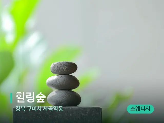 경북 구미시 사곡역동 힐링숲 — 웰니스 스파 공간