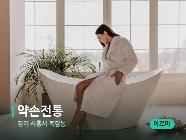 경기 시흥시 목감동 약손전통 — 데이 스파 인테리어