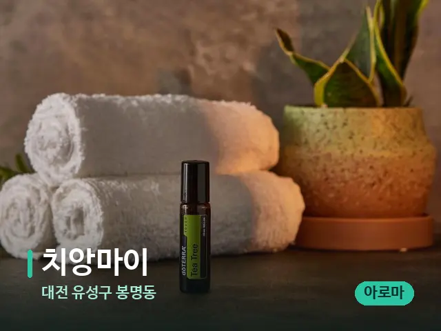 대전 유성구 봉명동 치앙마이 — 마사지 오일과 도구