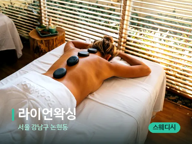 서울 강남구 논현동 라이언왁싱 — 스파 마사지 베드