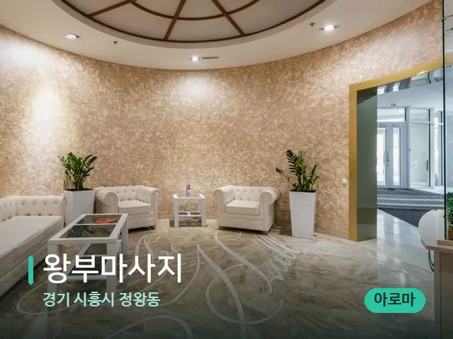 경기 시흥시 정왕동 왕부마사지 — 데이 스파 인테리어