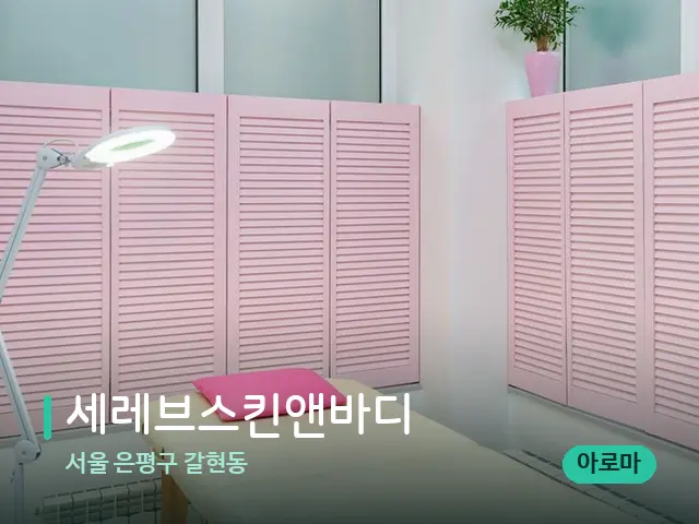 서울 은평구 갈현동 세레브스킨앤바디 — 스파 관리실 내부