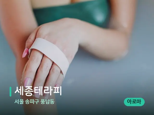 서울 송파구 풍납동 세종테라피 — 스파 마사지 베드