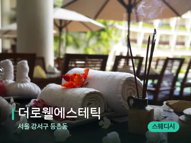 서울 강서구 등촌동 더로웰에스테틱 — 스파 마사지 베드