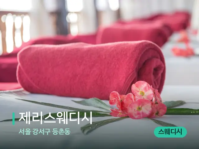 서울 강서구 등촌동 제리스웨디시 — 스파 마사지 베드