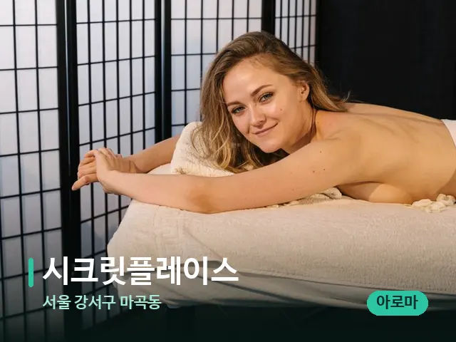 서울 강서구 마곡동 시크릿플레이스 — 스파 마사지 베드