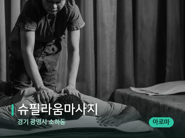 경기 광명시 소하동 슈필라움마사지 — 스파 마사지 베드