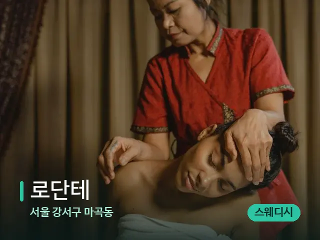 서울 강서구 마곡동 로단테 — 스파 마사지 베드
