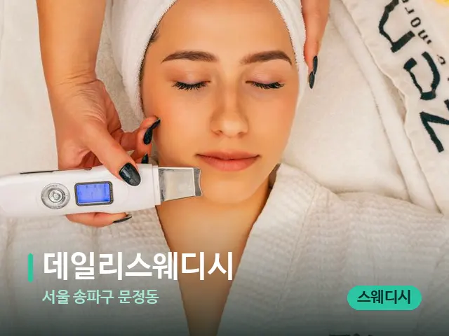 서울 송파구 문정동 데일리스웨디시 — 스파 마사지 베드