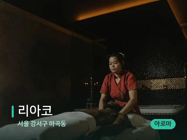 서울 강서구 마곡동 리아코 — 스파 마사지 베드