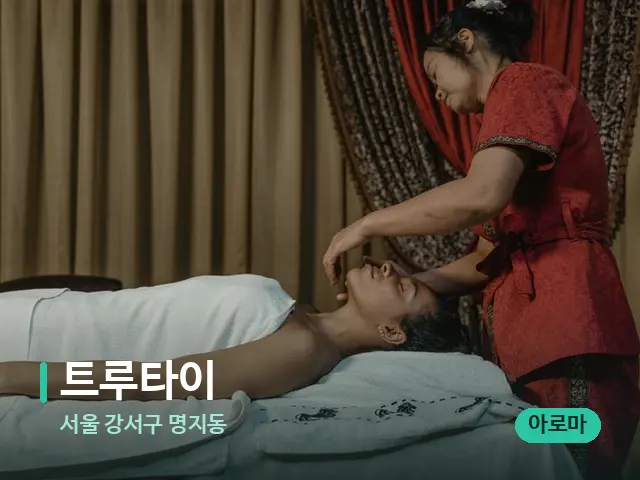 서울 강서구 명지동 트루타이 — 스파 마사지 베드