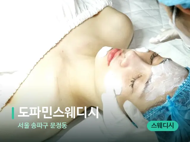 서울 송파구 문정동 도파민스웨디시 — 스파 마사지 베드