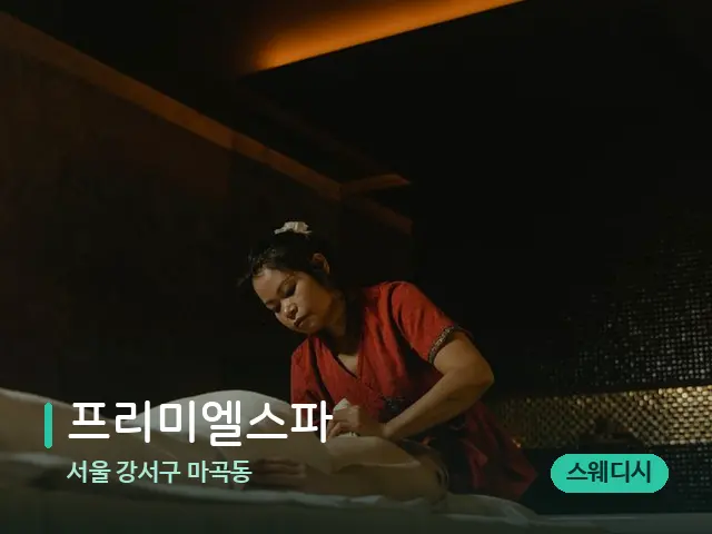 서울 강서구 마곡동 프리미엘스파 — 스파 마사지 베드