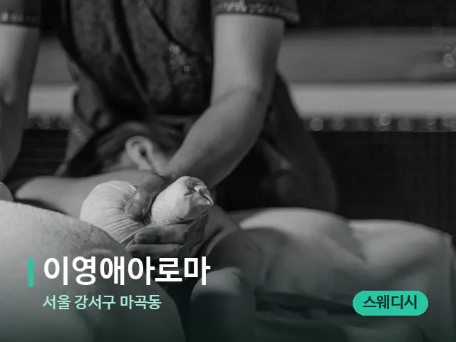 서울 강서구 마곡동 이영애아로마 — 스파 마사지 베드