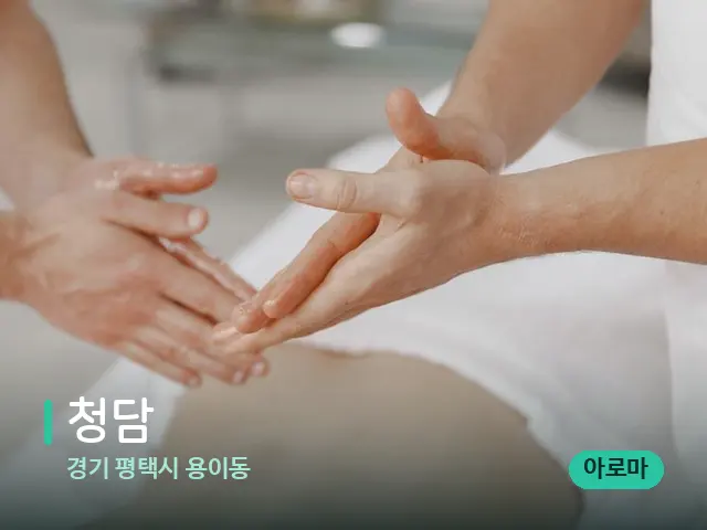 경기 평택시 용이동 청담 — 스파 마사지 베드