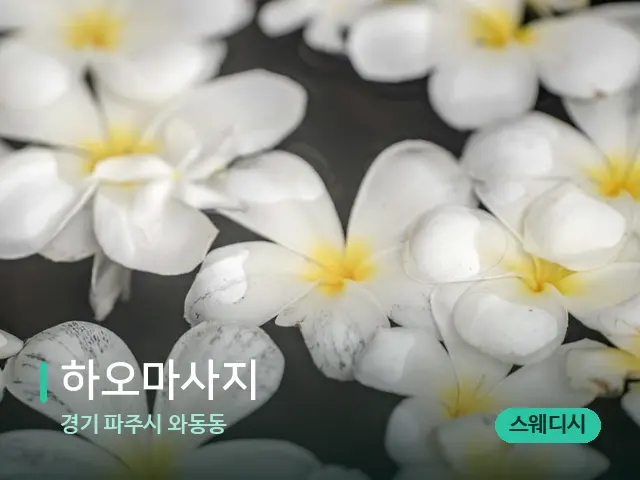 경기 파주시 와동동 하오마사지 — 아로마 오일을 쓰는 관리 장면
