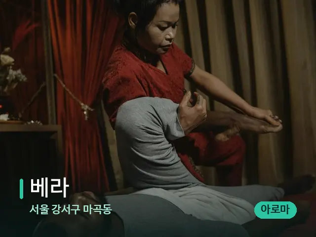 서울 강서구 마곡동 베라 — 스파 마사지 베드