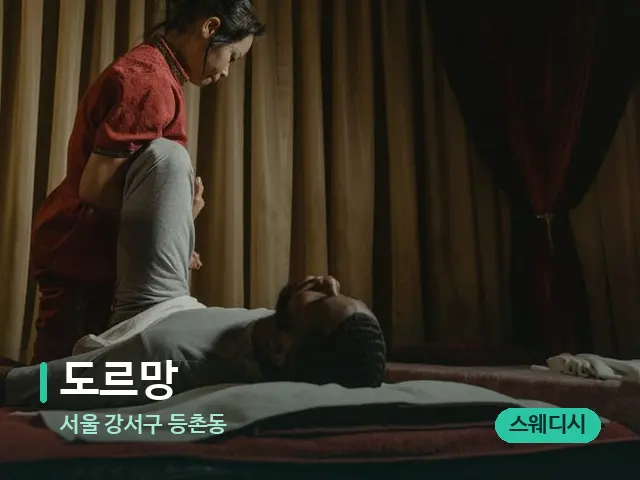 서울 강서구 등촌동 도르망 — 스파 마사지 베드