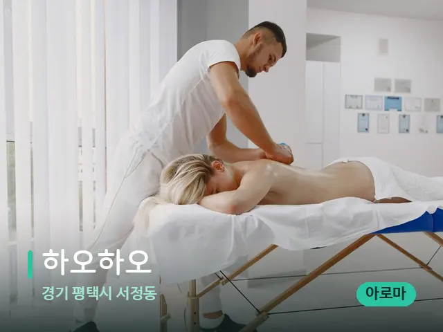 경기 평택시 서정동 하오하오 — 스파 마사지 베드