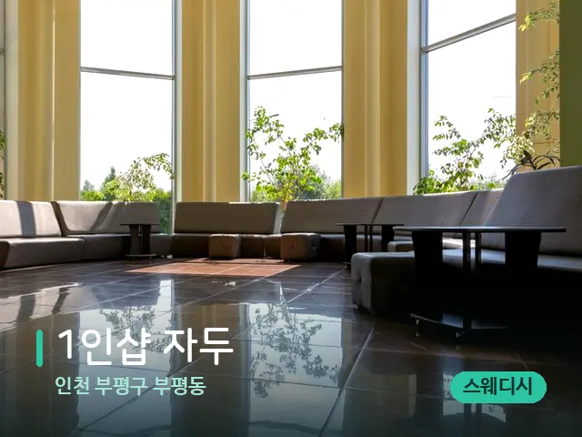 인천 부평구 부평동 1인샵 자두 — 데이 스파 인테리어