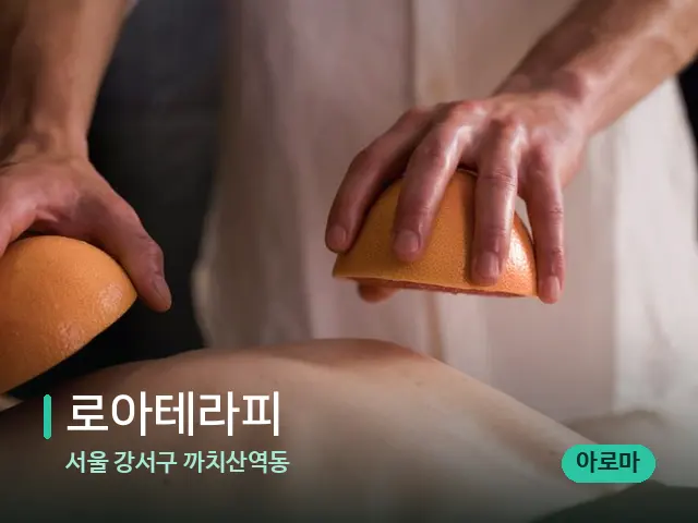 서울 강서구 까치산역동 로아테라피 — 스파 마사지 베드